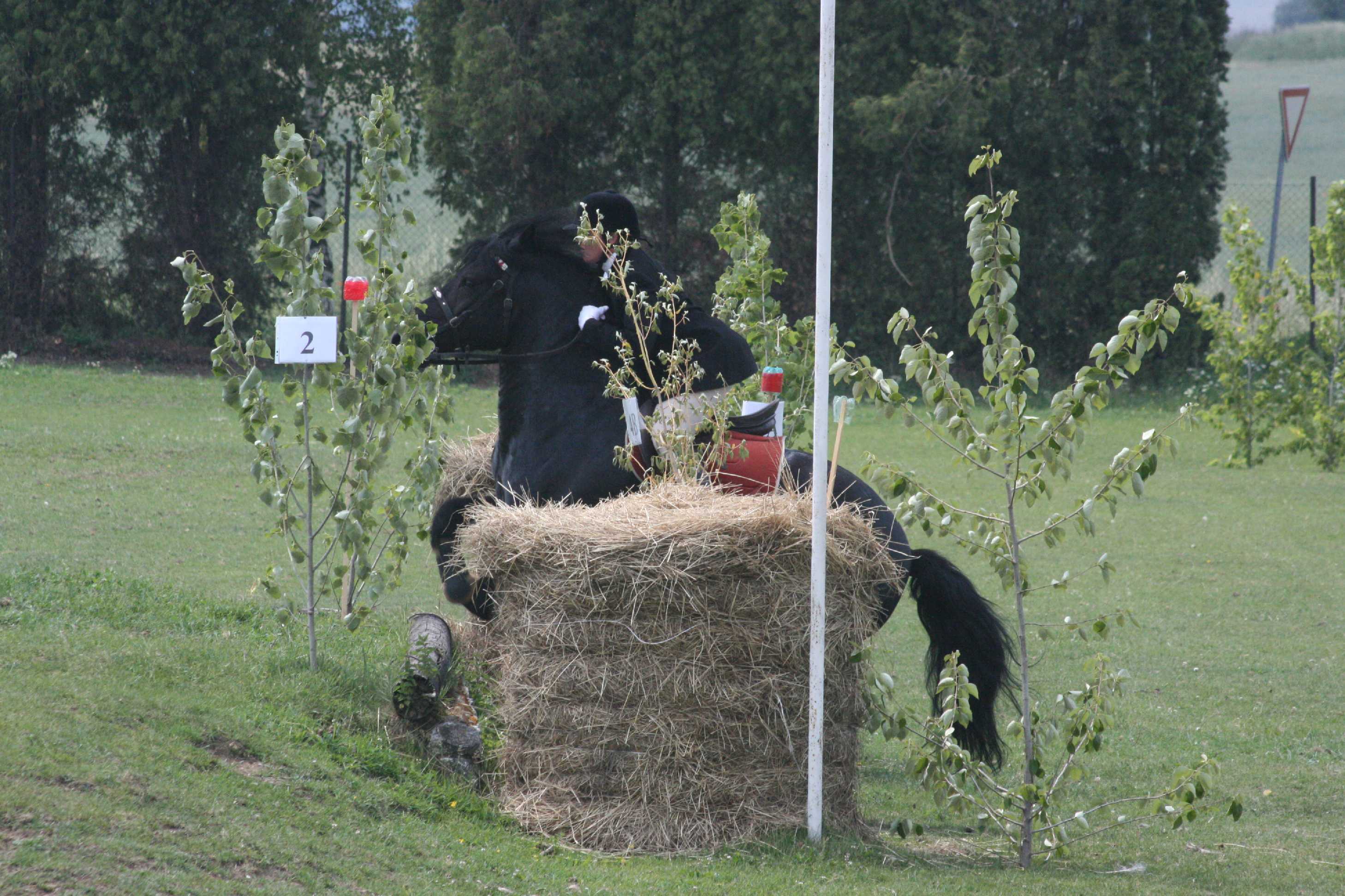 IMG_5636.jpg