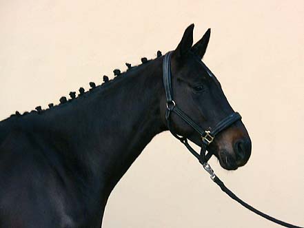 232_tlustice-019.jpg