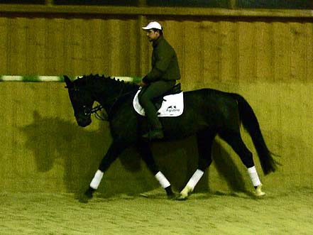 232_tlustice-107[1].jpg